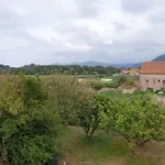 Del Abuelo